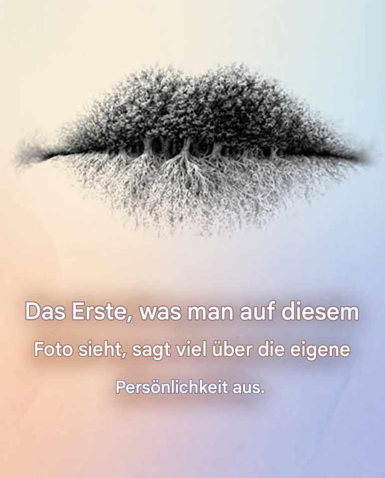 In diesem Bild sind 3 Dinge zu sehen.