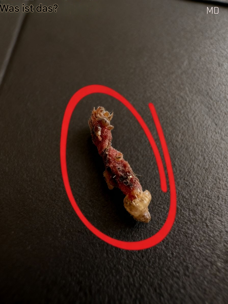 Ich wachte nachts mit einem unangenehmen Gefühl auf – was ich entdeckte, war völlig unerwartet.