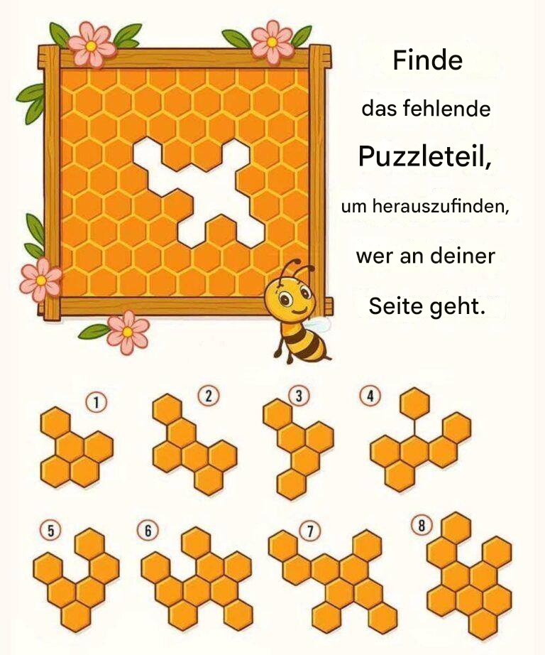 Finde das fehlende Wabenplättchen und finde heraus, wer dich im Leben begleitet