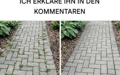 Wie man Unkraut auf natürliche und dauerhafte Weise beseitigt