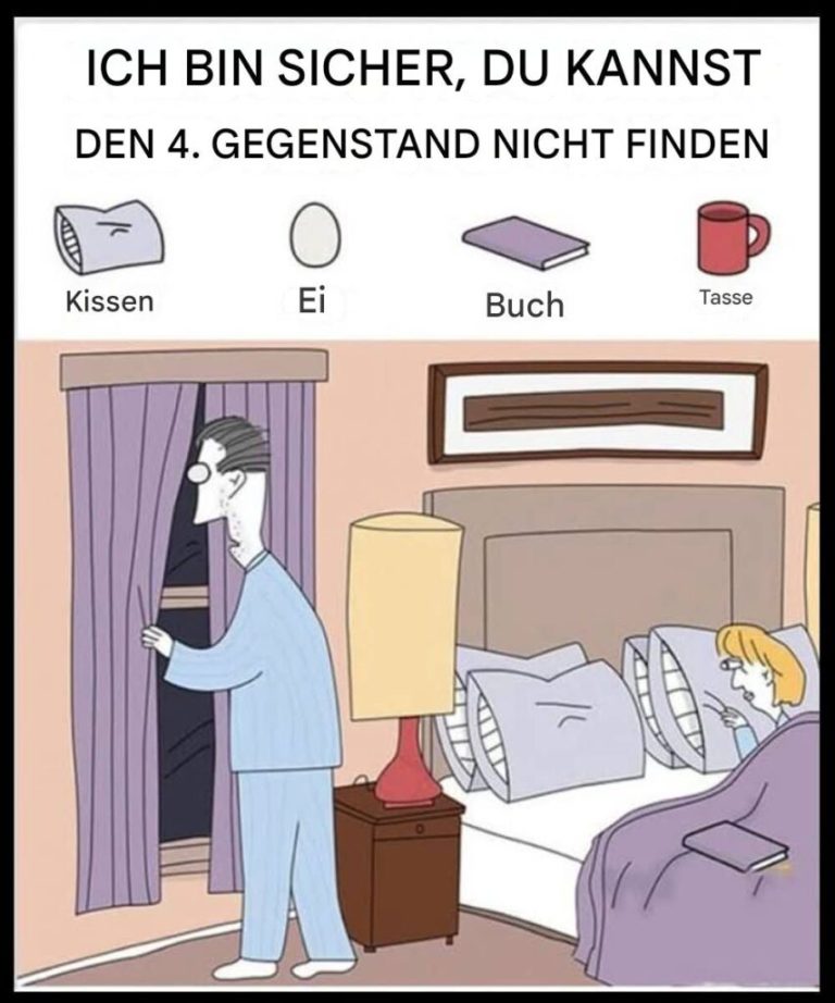 Kannst du das Buch, das Ei, die Tasse und das Kissen entdecken?