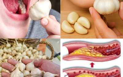 Die überraschenden gesundheitlichen Vorteile des täglichen Verzehrs von rohem Knoblauch