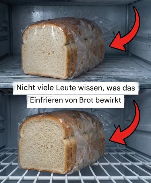 Ein praktischer Leitfaden zum richtigen Einfrieren von Brot