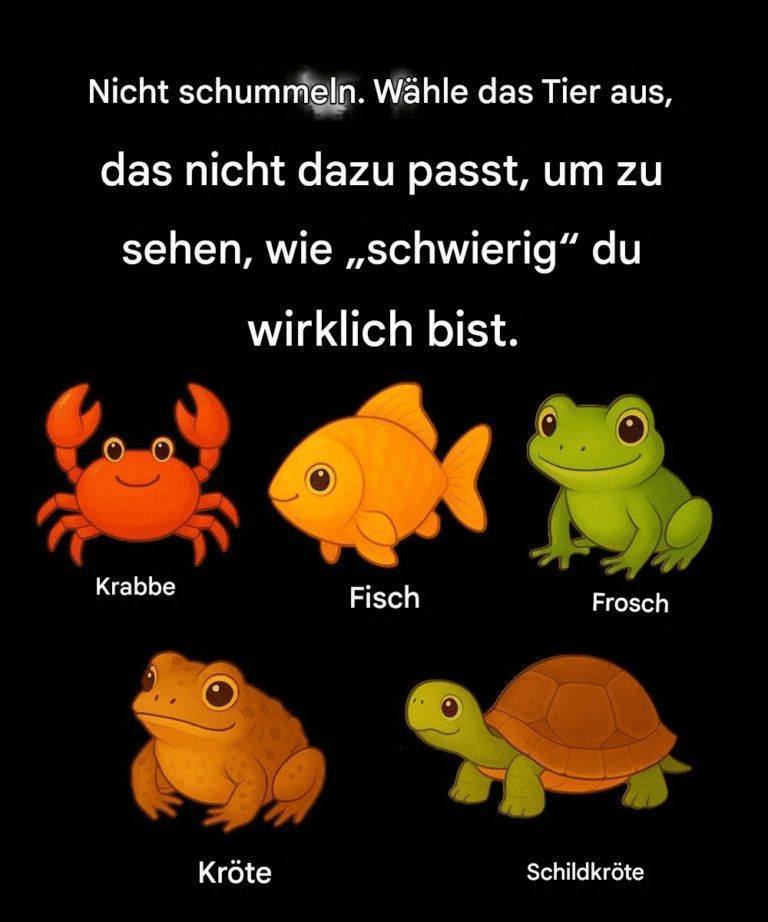 Schummel nicht. Such dir das unpassende Element aus, um zu sehen, wie „schwierig“ du wirklich bist.