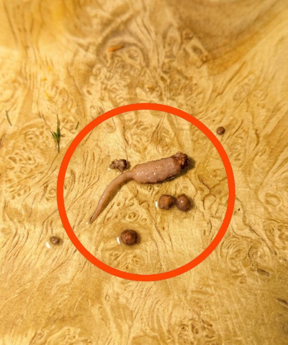 Ich habe Hackfleisch gebraten und als ich es aus der Pfanne nahm, bemerkte ich einen seltsamen Gegenstand, der nicht wie Rindfleisch aussah.