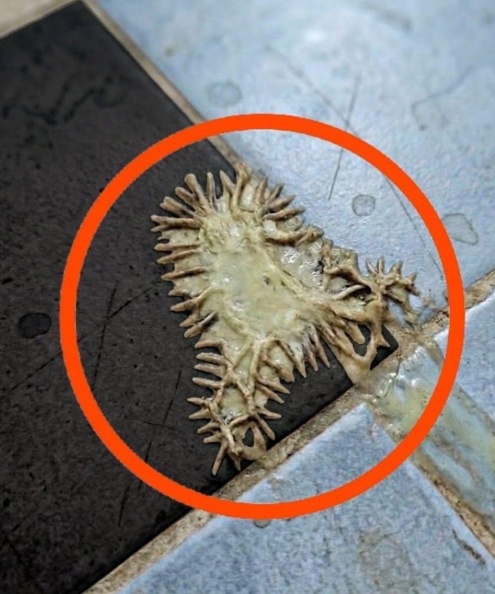 Das seltsame Badezimmerrätsel