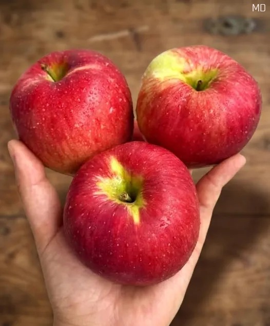Warum Äpfel zu den beliebtesten Früchten für eine gesunde Lebensweise gehören
