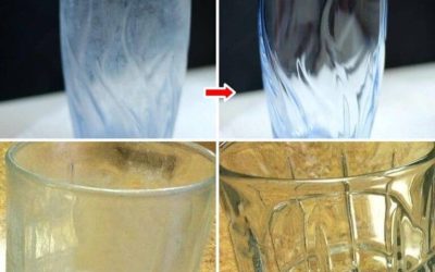 Natürlicher Inhaltsstoff, der trübe Gläser wieder kristallklar macht