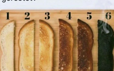 Welcher Toast ist perfekt?