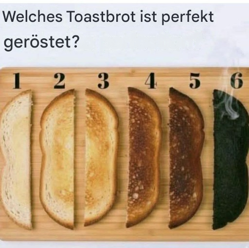 Welcher Toast ist perfekt?