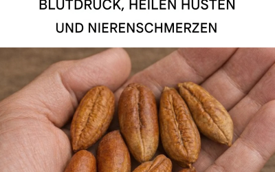 Alle erstaunlichen Verwendungsmöglichkeiten von Dattelkernen
