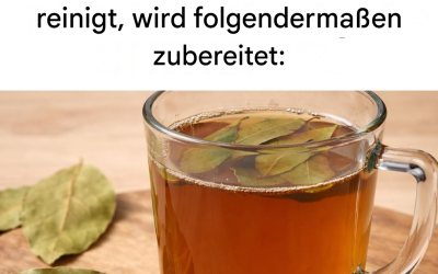 Die kraftvolle Kombination aus Lorbeerblättern und Zimt: ein Kräutertee zur Gewichtsreduktion und Blutzuckerregulierung.