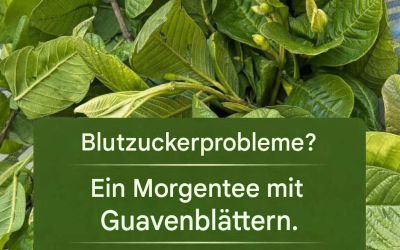 Guavenblättertee: Vorteile, Eigenschaften und Zubereitung dieses kraftvollen Kräutergetränks