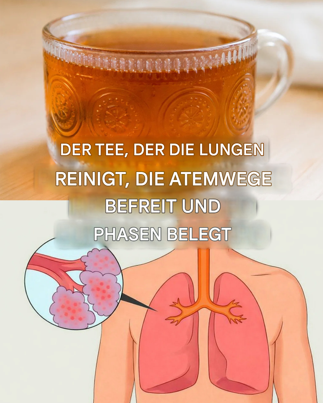 Der Tee, der den gesamten Schleim in den Lungen löst, die Atemwege entgiftet und Asthma heilt.