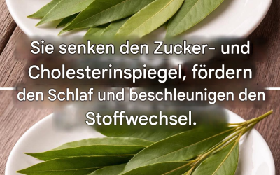 Lorbeerblätter: senken Blutdruck, Blutzucker und Cholesterin und helfen bei Schlaflosigkeit