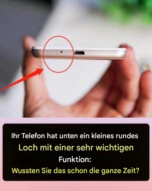 Winziges Loch an der Unterseite Ihres Telefons