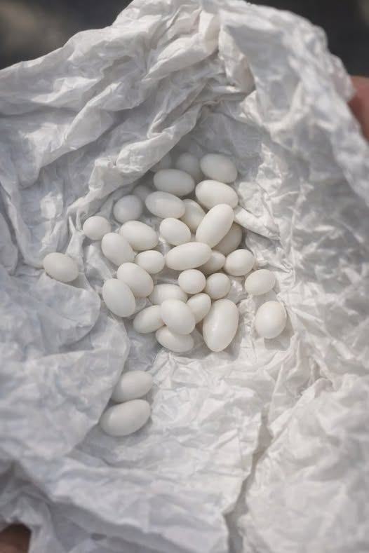 Ich habe in dem Rucksack meines 15-jährigen Sohnes ein paar seltsame kleine weiße Kugeln gefunden: