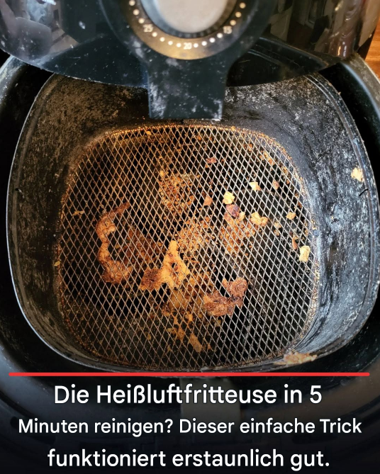 Heißluftfritteuse in 5 Minuten reinigen? Dieser einfache Trick funktioniert erstaunlich gut
