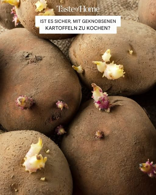 Kann man gekeimte Kartoffeln essen?