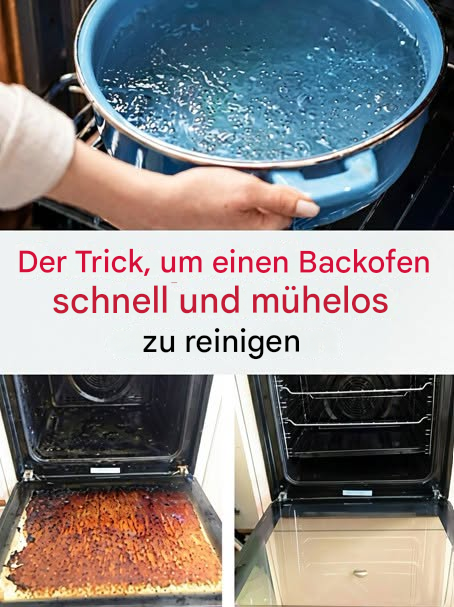 Nie mehr mühsames Schrubben: Diese Dampfreinigungstechnik revolutioniert die Ofenreinigung.