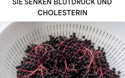Alle Vorteile und Eigenschaften von Holunderbeeren