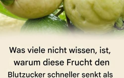 Entdecke die Kraft dieser wundersamen Frucht.