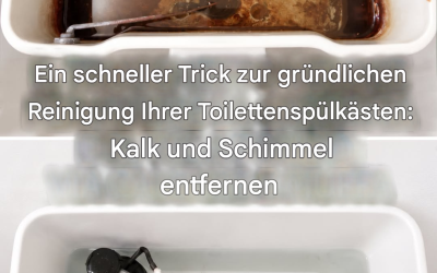 So reinigen Sie Ihren Toilettenspülkasten und lassen ihn wieder wie neu aussehen