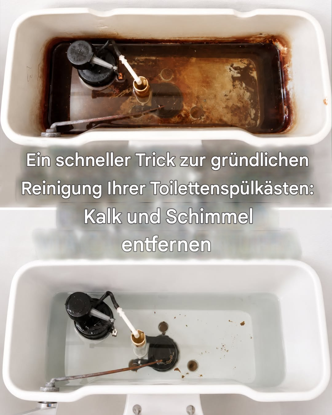 So reinigen Sie Ihren Toilettenspülkasten und lassen ihn wieder wie neu aussehen
