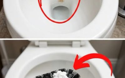 Der morgendliche Helfer, der Ihre Toilettenreinigung revolutioniert
