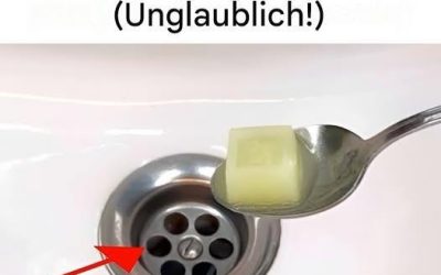 Die natürliche Lösung für blitzsaubere Abflüsse!