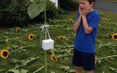 Jedes Jahr pflanzte mein Sohn Sonnenblumen für seine Zwillingsschwester