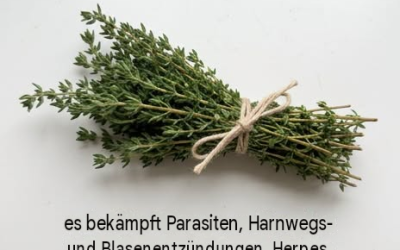 Oreganoöl, Bärentraube: Diese Pflanzen besitzen überraschende Eigenschaften zur Unterstützung des Wohlbefindens Ihrer Harnwege und Ihres Verdauungssystems.