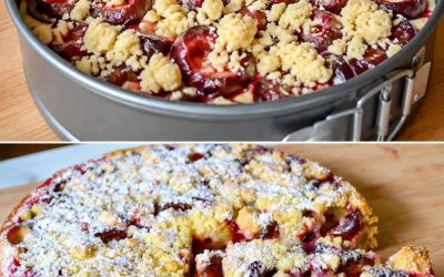 Zwetschgenkuchen mit Vanillepudding in 5 Minuten im Ofen