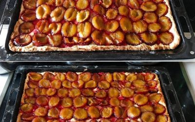 Zwetschgenkuchen vom Blech in 10 Minuten im Ofen