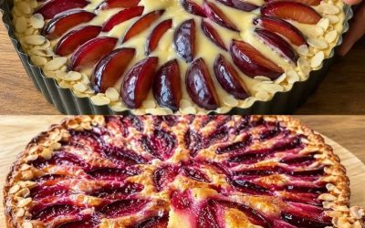 Pflaumenkuchen blitzschnell fertig in 5 Minuten zubereitet