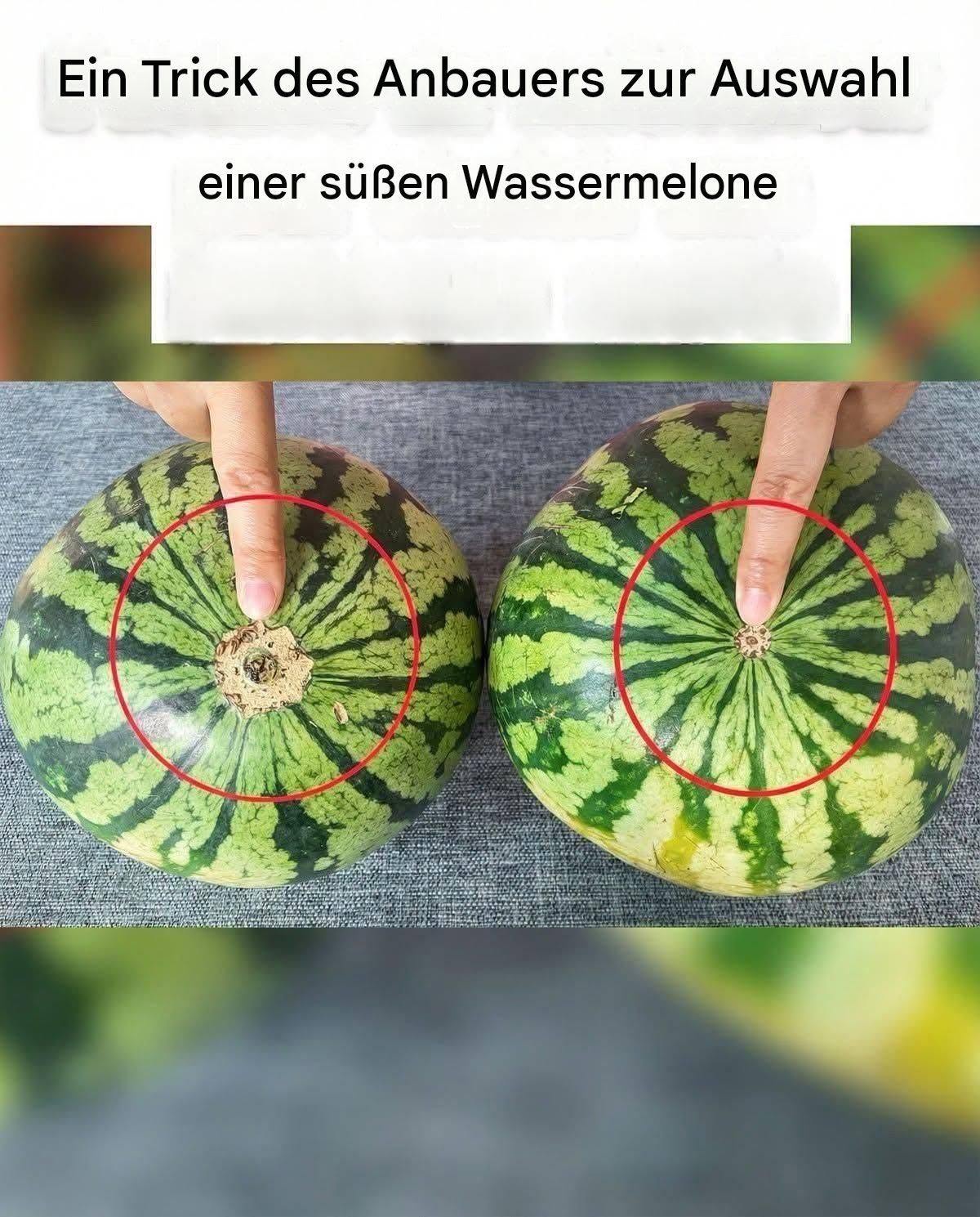 Nie mehr fade Wassermelonen! Hier ist eine todsichere visuelle Anleitung, um die süßesten Früchte auf dem Markt zu finden.